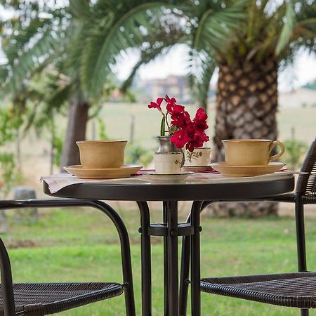 Villa Degli Oleandri Bnb Rzym Zewnętrze zdjęcie