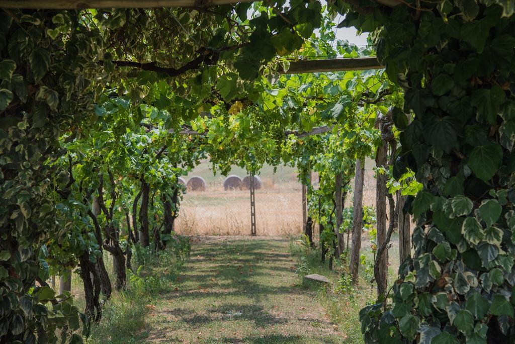 Villa Degli Oleandri Bnb Rzym Zewnętrze zdjęcie
